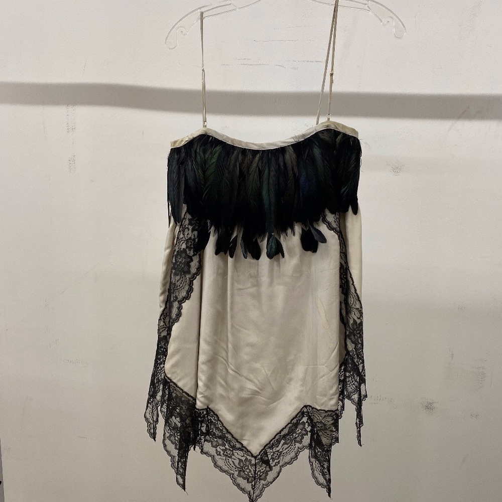Mini Dress with Feather and Lace Detailing